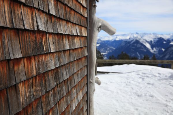 Cedar Siding Repair in San Rafael