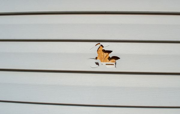 Siding Hole Patching in San Rafael
