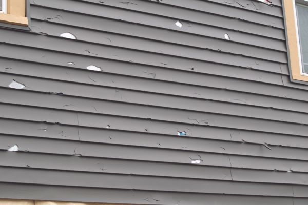 Damaged Siding Replacement in San Rafael
