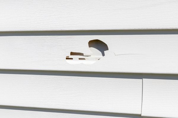 Cost of White Vinyl Siding Repair in San Rafael